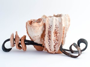 cluster-earthenware-clay-mild-steel-white-slip-and-iron-oxide-by-debbie-harman-photograph-by-suzanne-balding