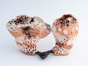 pair-earthenware-clay-scale-and-iron-oxide-by-debbie-harman-photograph-by-suzanne-balding