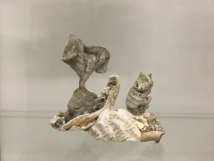 23559841_10155971552029636_7170564428843425849_n